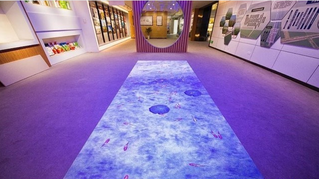 NEC用现代化显示技术手段打卡龙虾博物馆