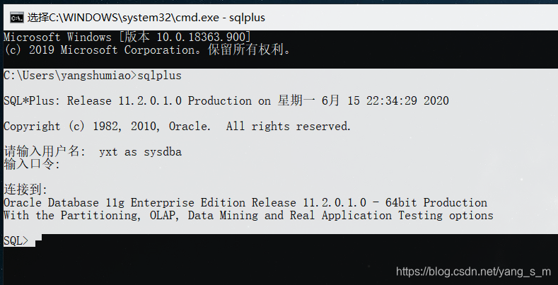 Oracle数据泵导出小白教程yangsm的博客-