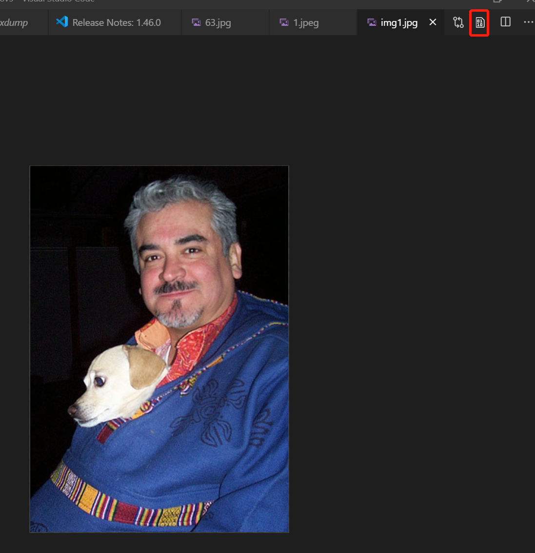 【vscode】vscode以二进制查看图片