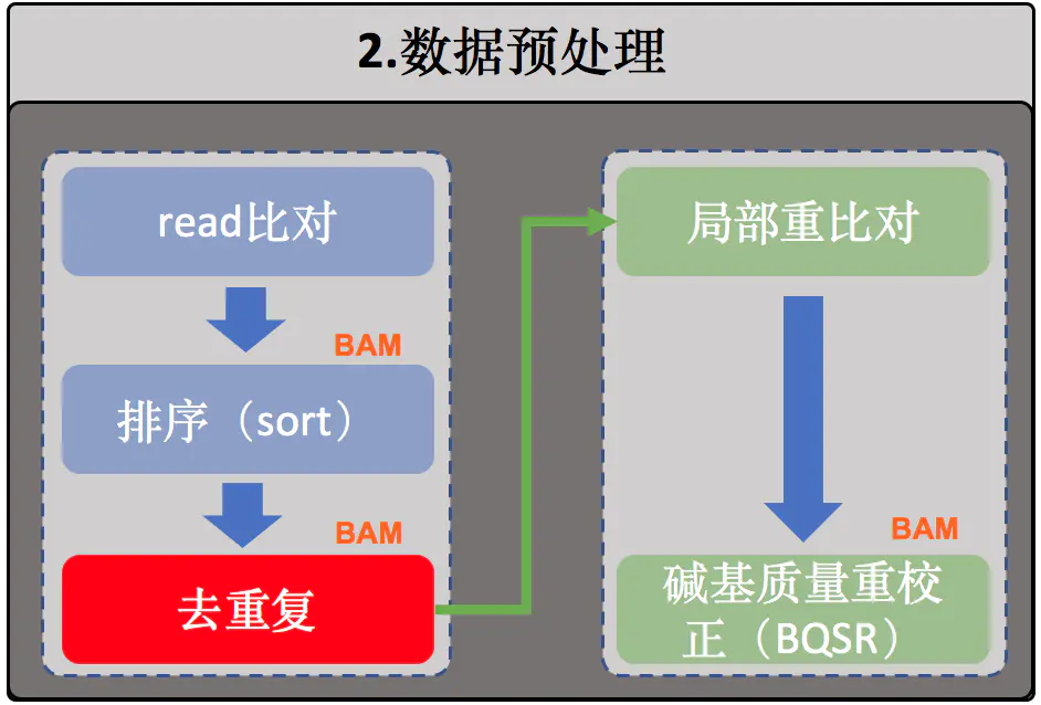 《全基因组测序WGS数据分析——4.构建WGS主流程》学习笔记_浓度低,最大量测序-CSDN博客