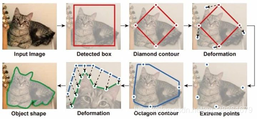 DeepSnake实例分割流程