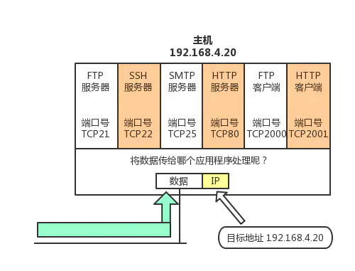 通过端口号识别应用