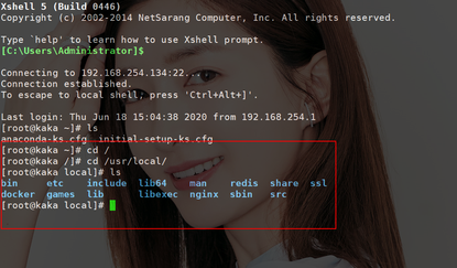 This work of conscience gives you some tips on how to use Xsheel