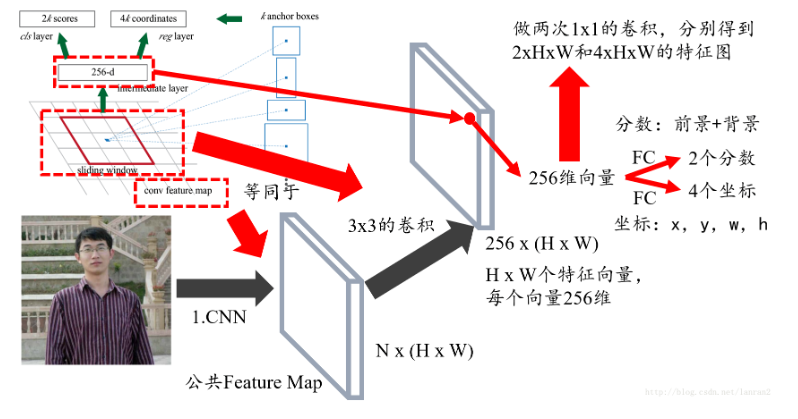 目标检测基础知识：卷积、池化、填充、采样、RPN、FPN一枚小白的博客-