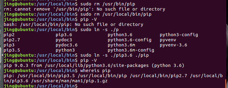 ubuntu-pip-usr-bin-usr-local-bin-ubuntu-a-problem-occurred-when