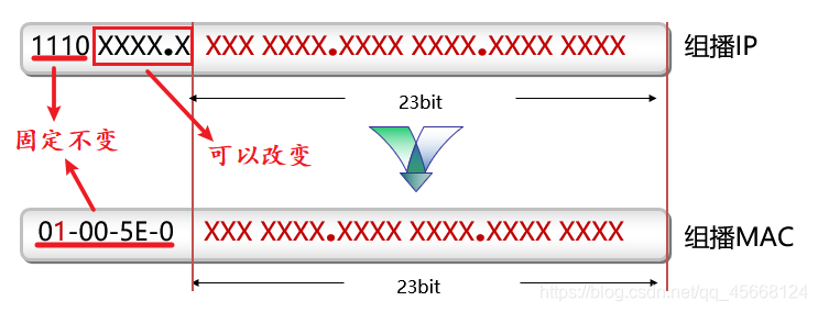 组播IP与MAC的映射