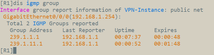IGMPv2_R1查看组