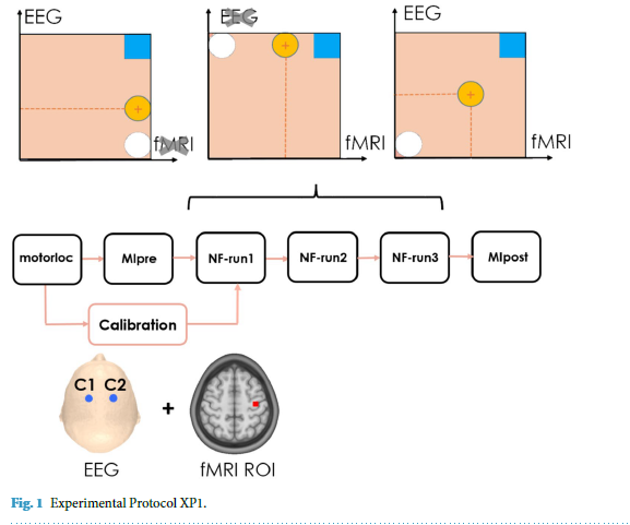 在神经反馈任务中同时进行EEG-fMRI，多模态数据集成的大脑成像数据集_fmri 和eeg数据分析计算步骤-CSDN博客