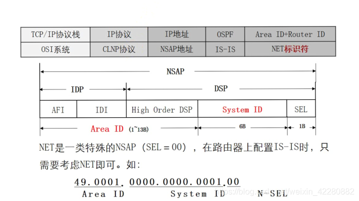 图 1.1 NSAP地址结构