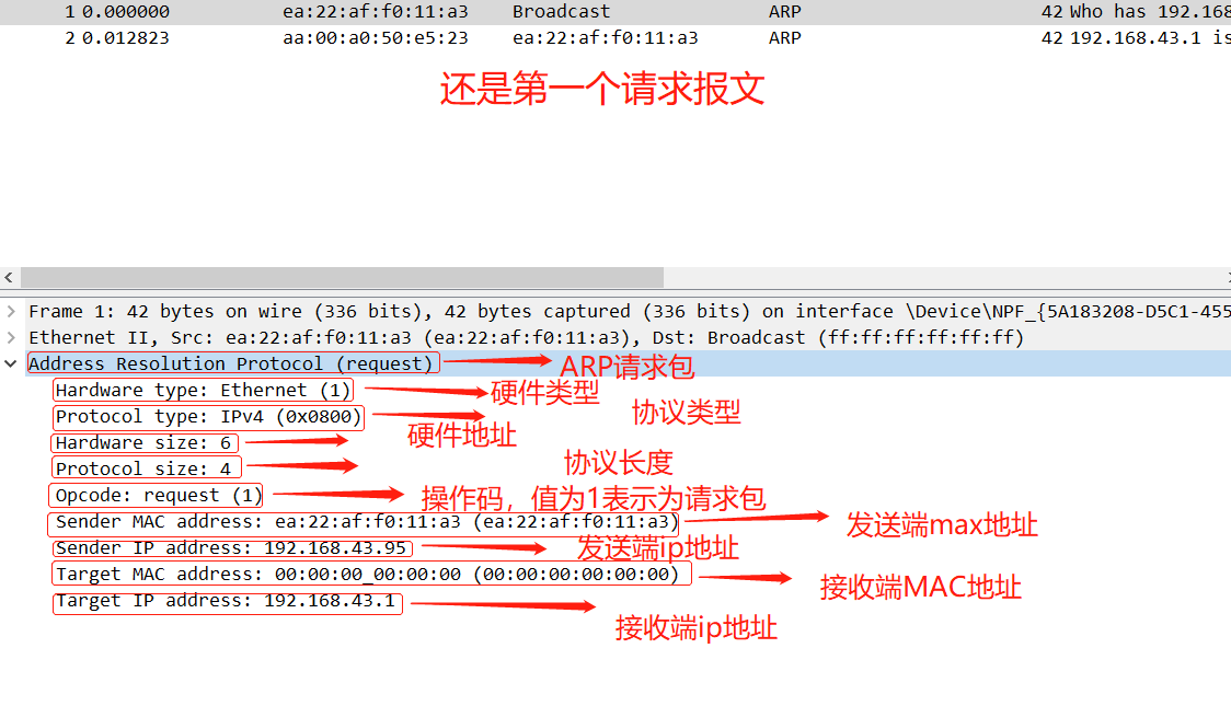 广州大学  计算机网络实验3  使用网络协议分析器捕捉和分析协议数据包  2020版鸭绒的博客-广州大学 计算机网络实验三