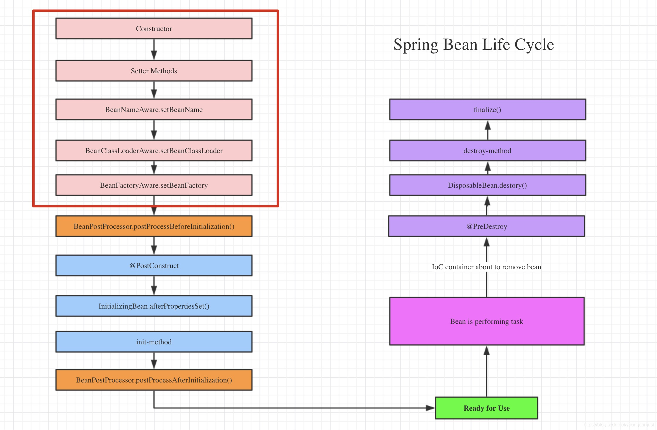 life cycle