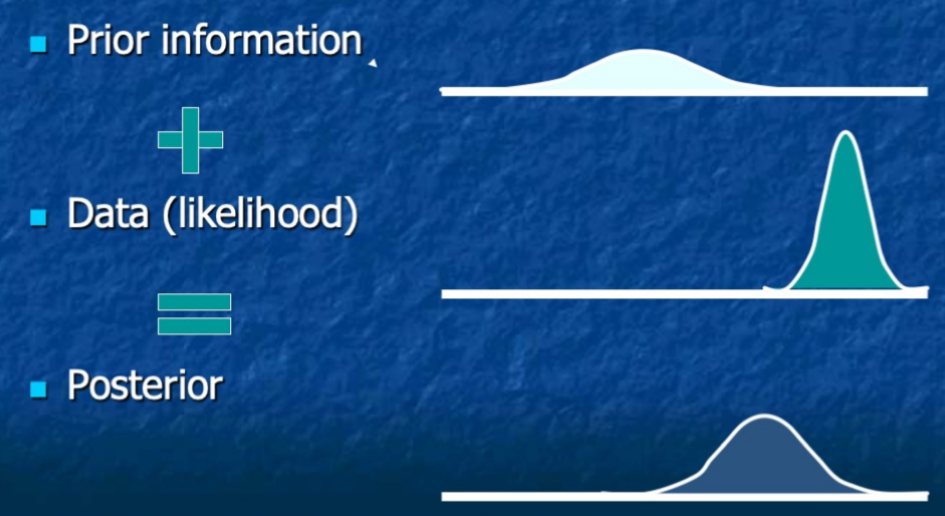 Bayesian framework 贝叶斯框架 （R）-CSDN博客