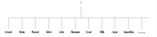 图 2.1 Ubuntu 操作系统的树形目录结构