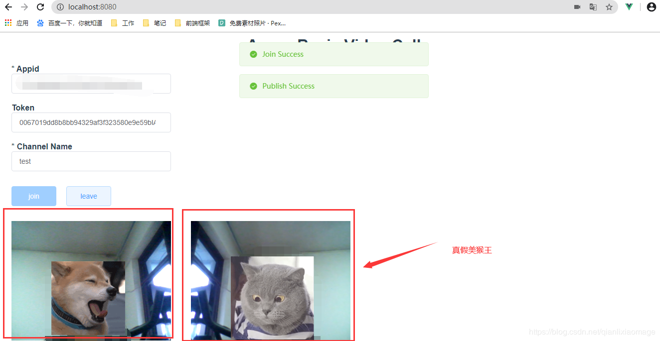 Web项目引入Agora SDK实现视频通话功能