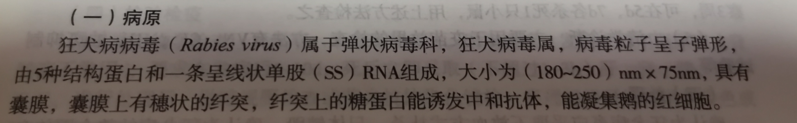 家兔手术基本操作6个呼吸曲线 Csdn