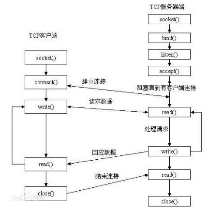 Linux network programming basics 2 (socket programming, endianness ...