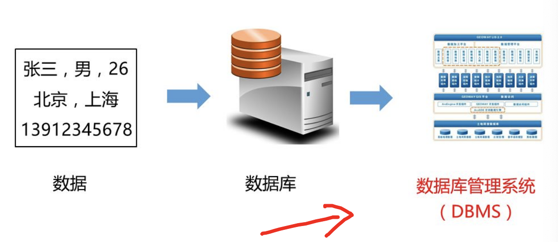 数据库管理系统（DBMS）