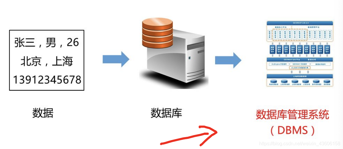 数据库管理系统（DBMS）