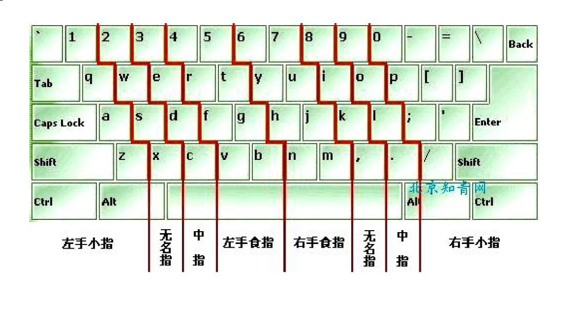 键盘数字手指分布图图片