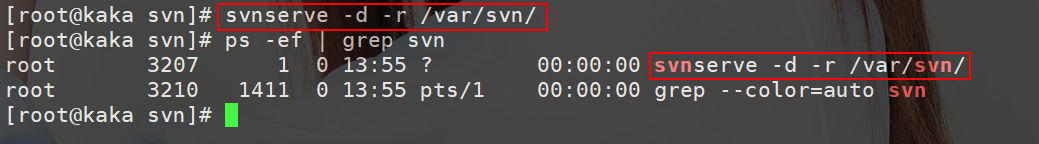 Look, SVN can be used between the virtual machine and the host machine.