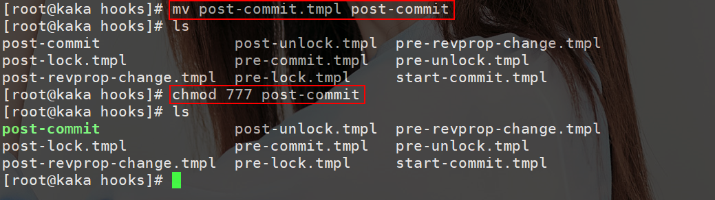 Look, SVN can be used between the virtual machine and the host machine.