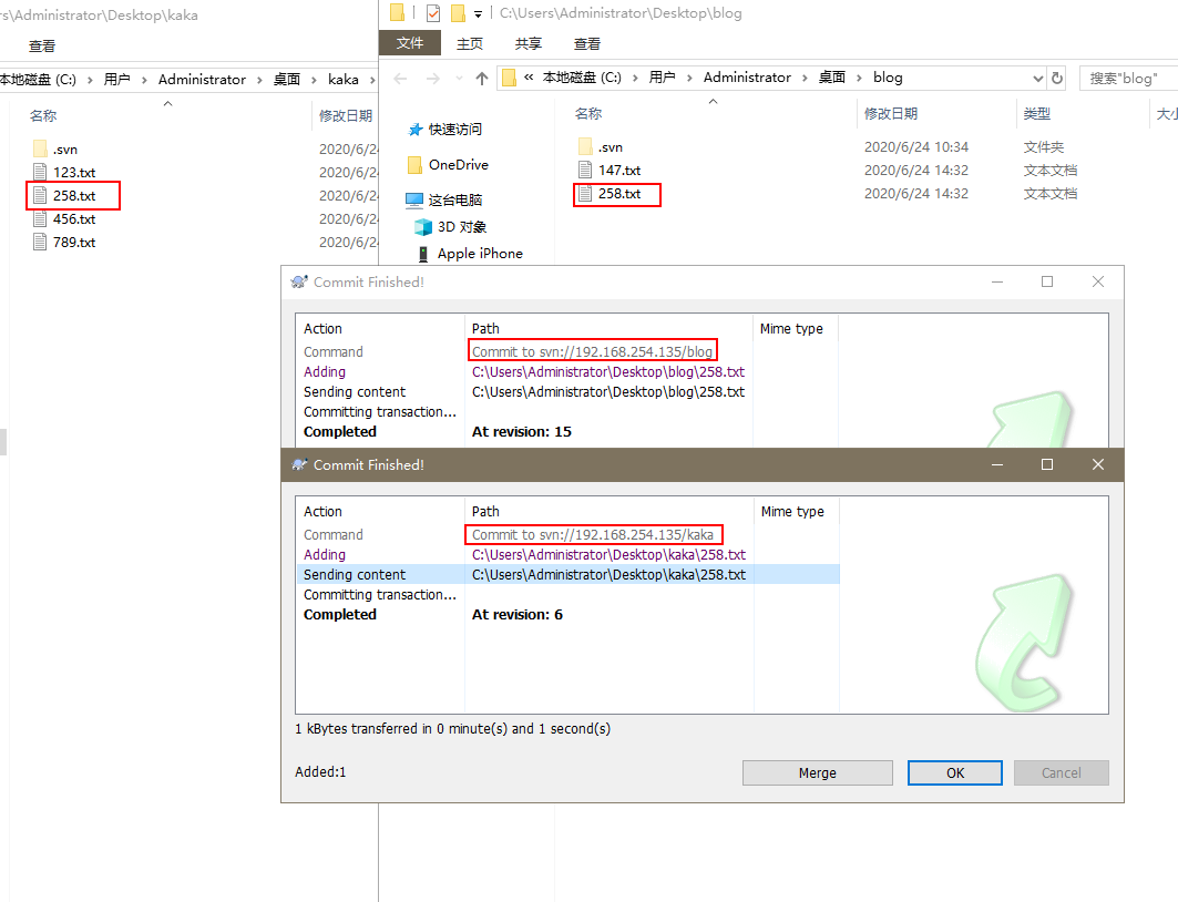 Look, SVN can be used between the virtual machine and the host machine.