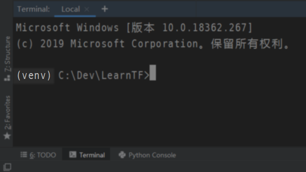 终端已在虚拟环境中运行