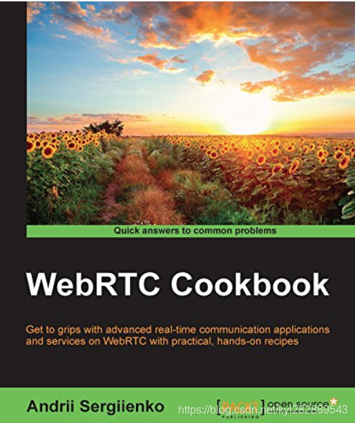 WebRTC Cookbook