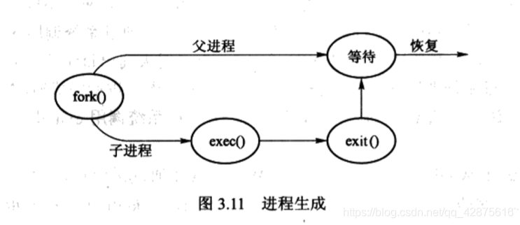 进程生成