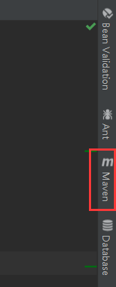 点击 IDEA 右侧的Maven（有的写Maven Project）