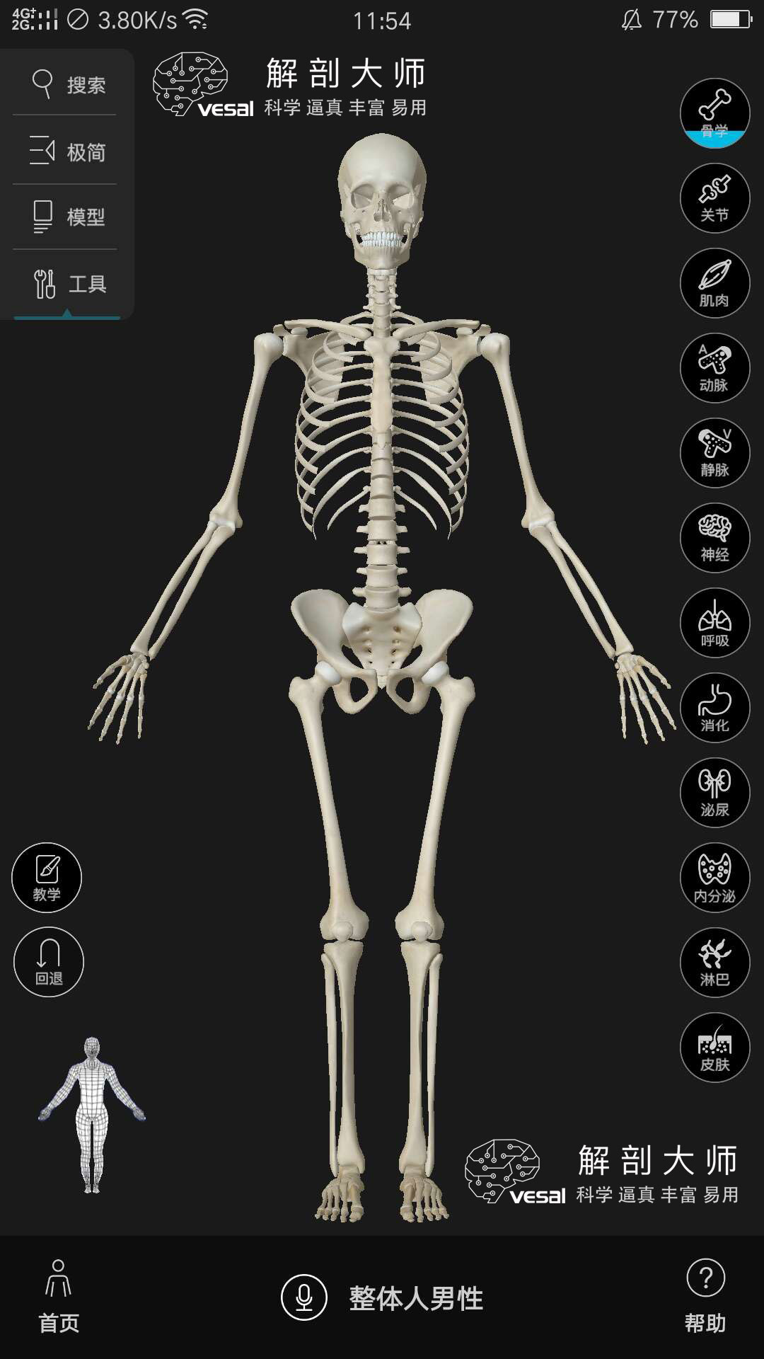 高清3D人体解剖图谱