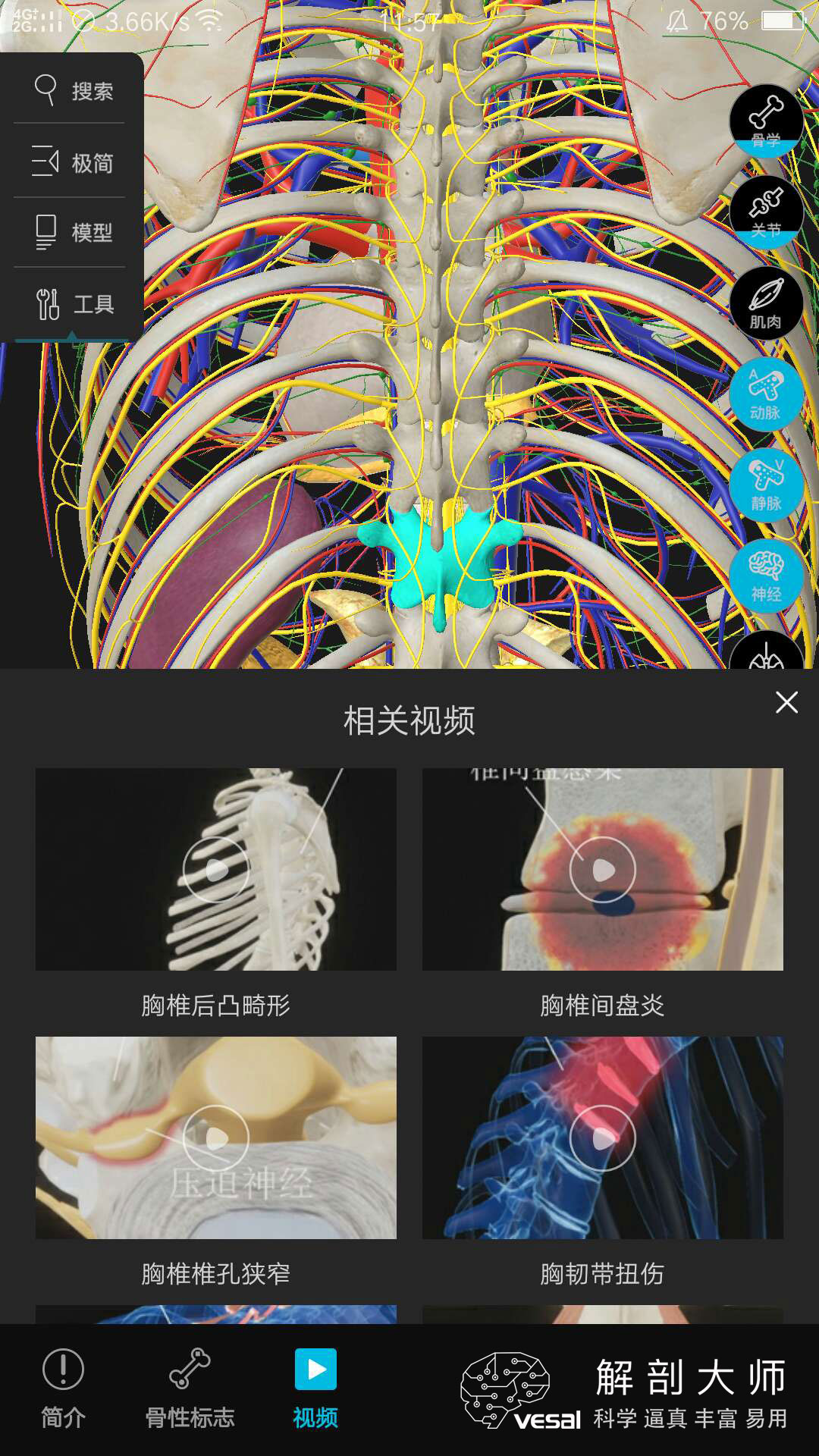 高清3D人体解剖图谱