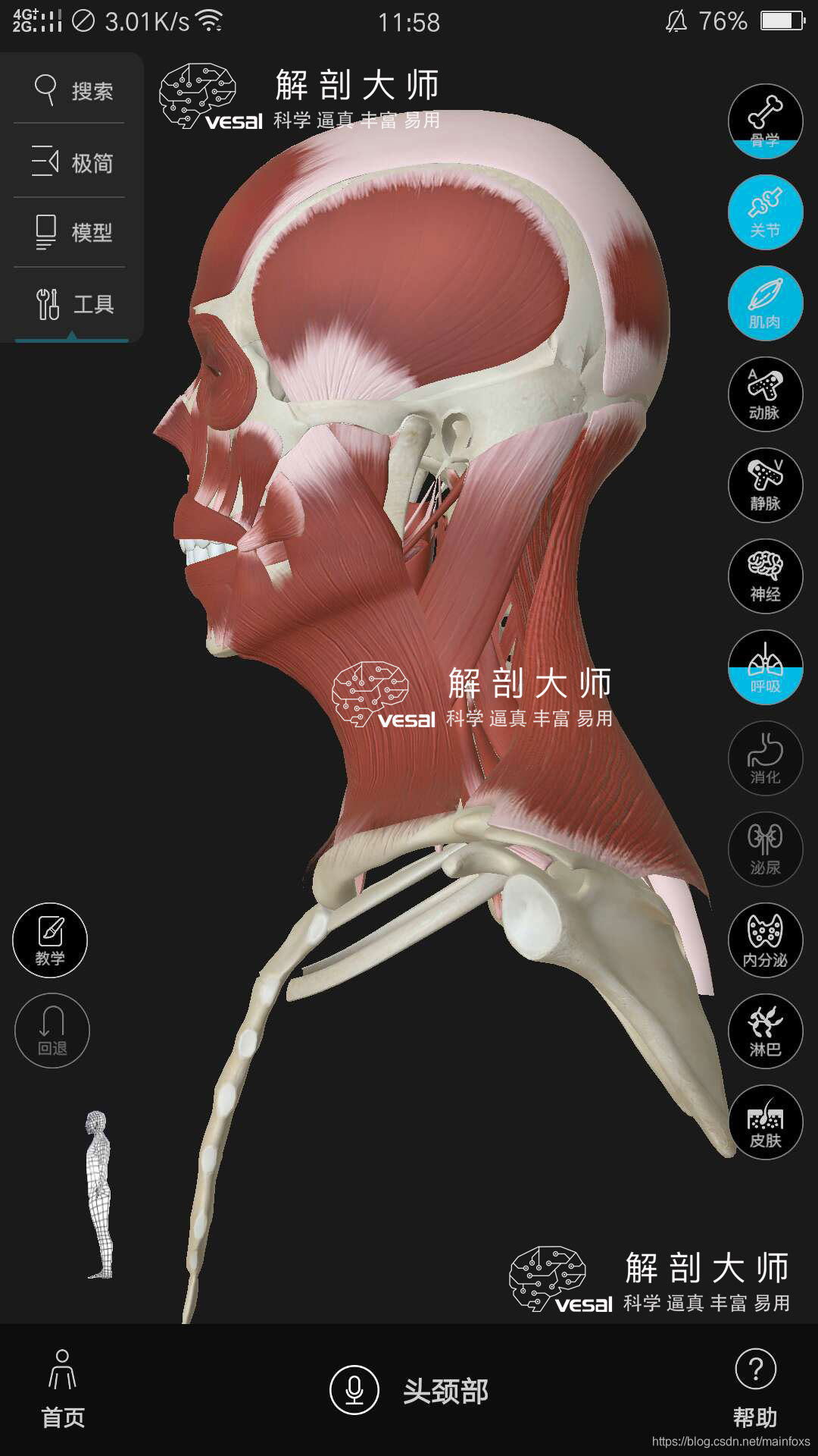 高清3D人体解剖图谱