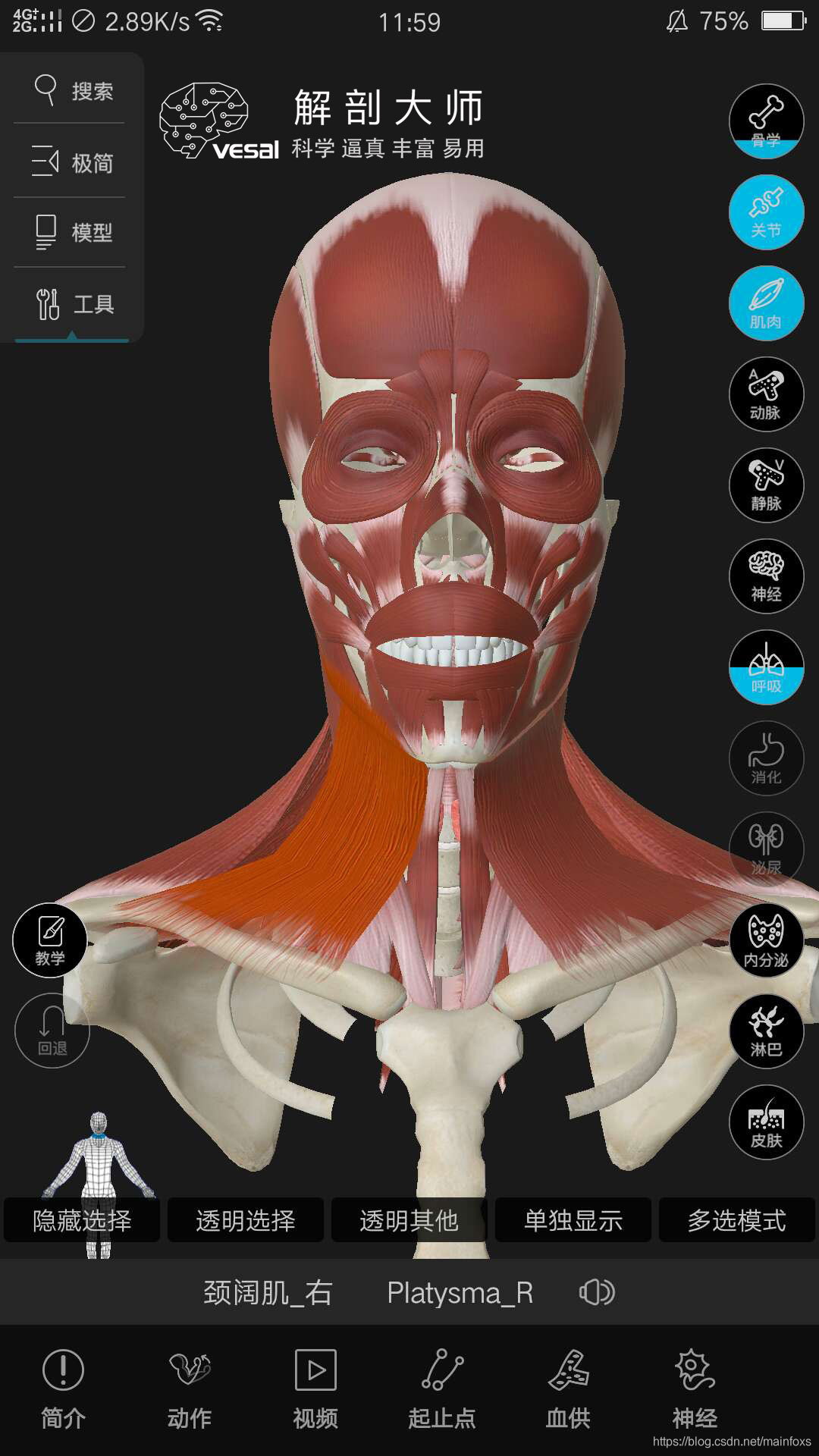 高清3D人体解剖图谱