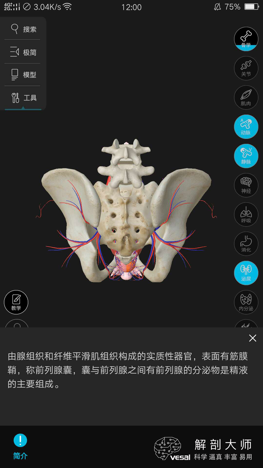 高清3D人体解剖图谱