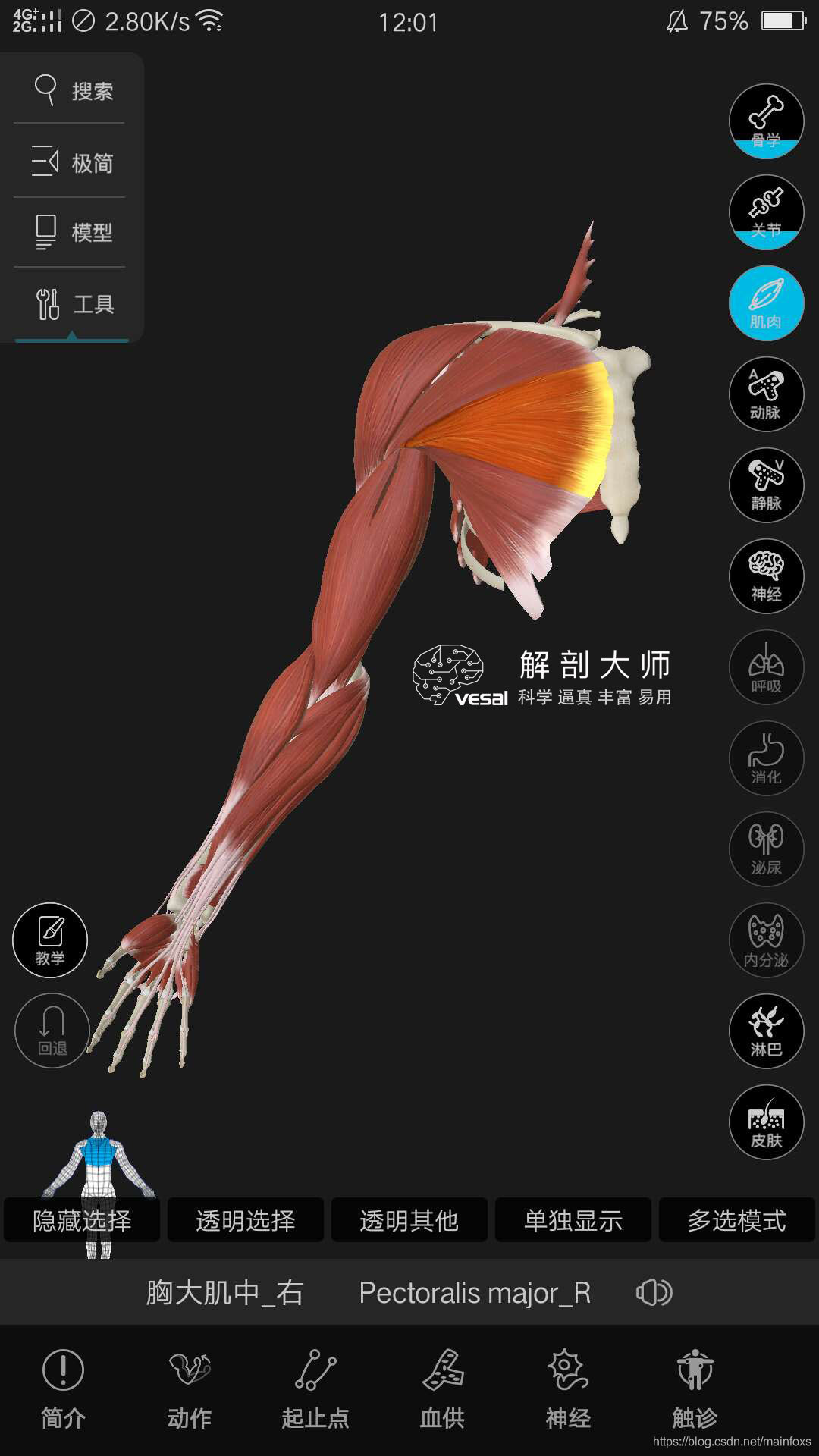 高清3D人体解剖图谱