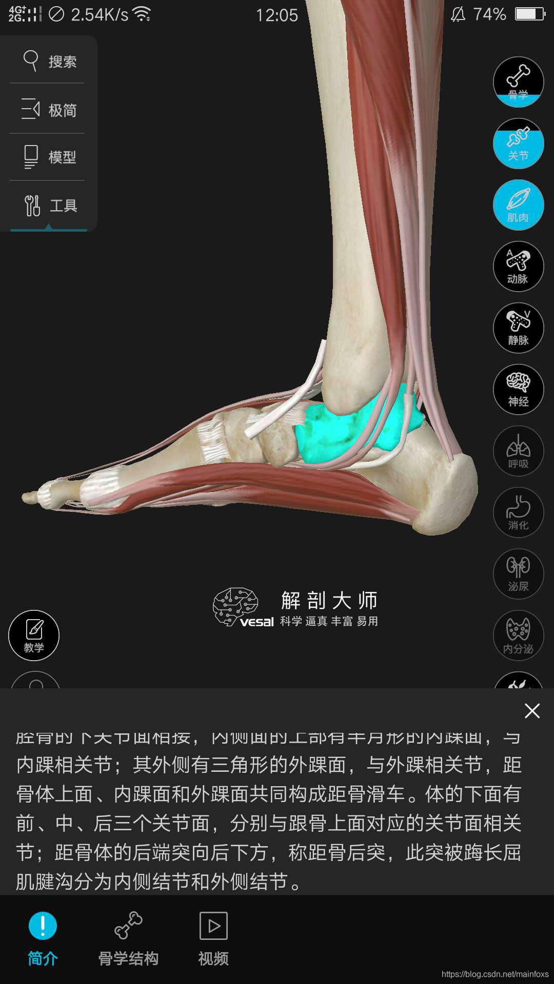 高清3D人体解剖图谱