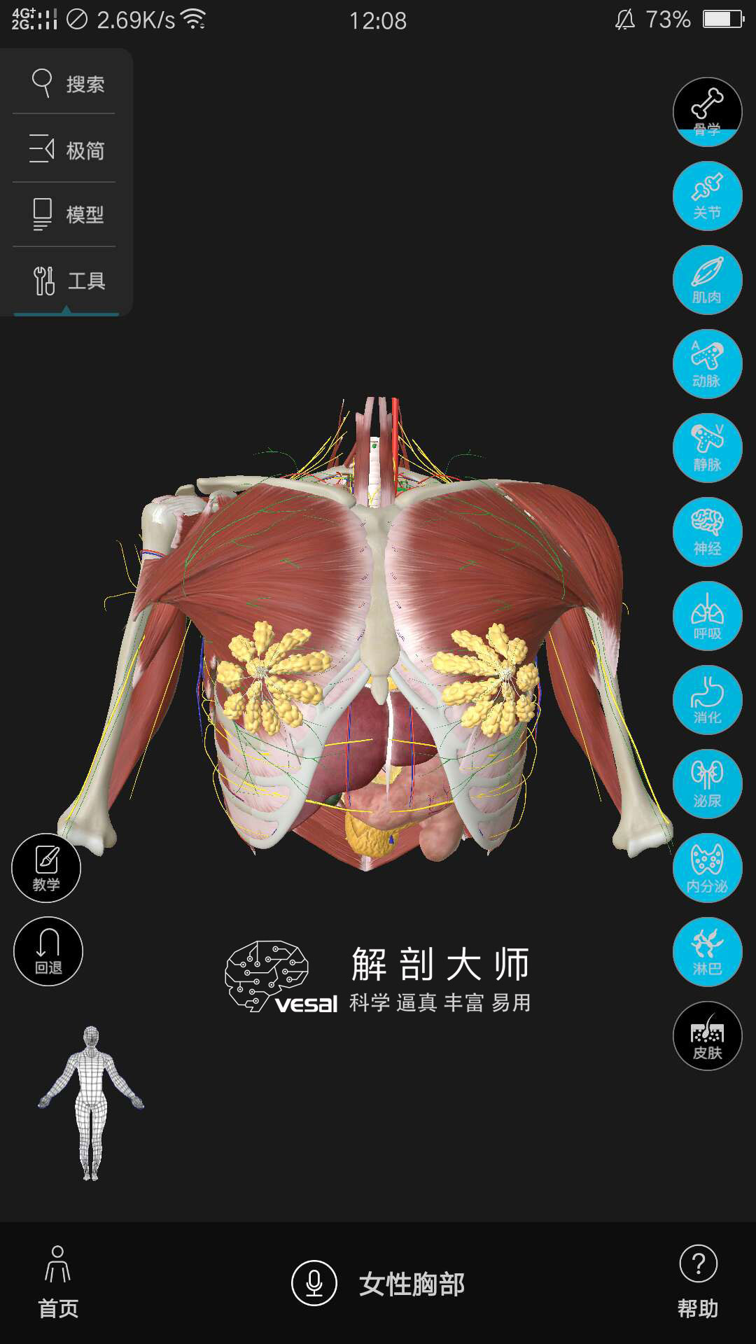 高清3D人体解剖图谱