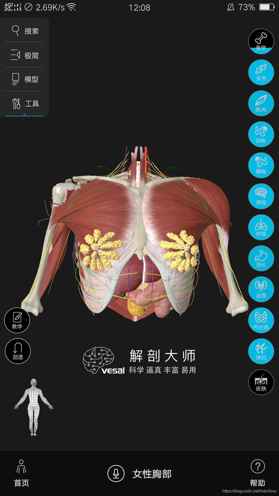 高清3D人体解剖图谱