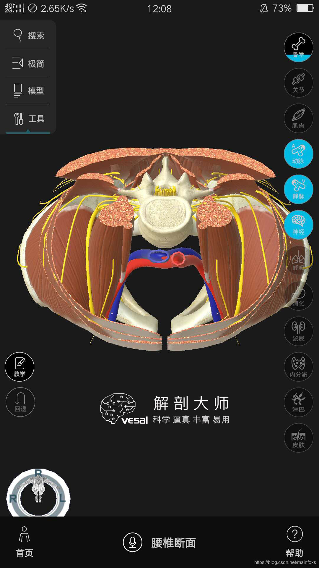 高清3D人体解剖图谱