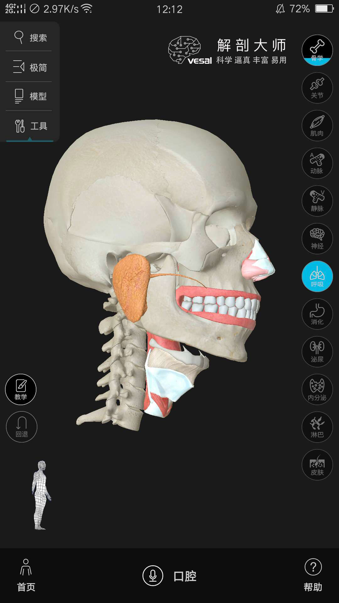 高清3D人体解剖图谱