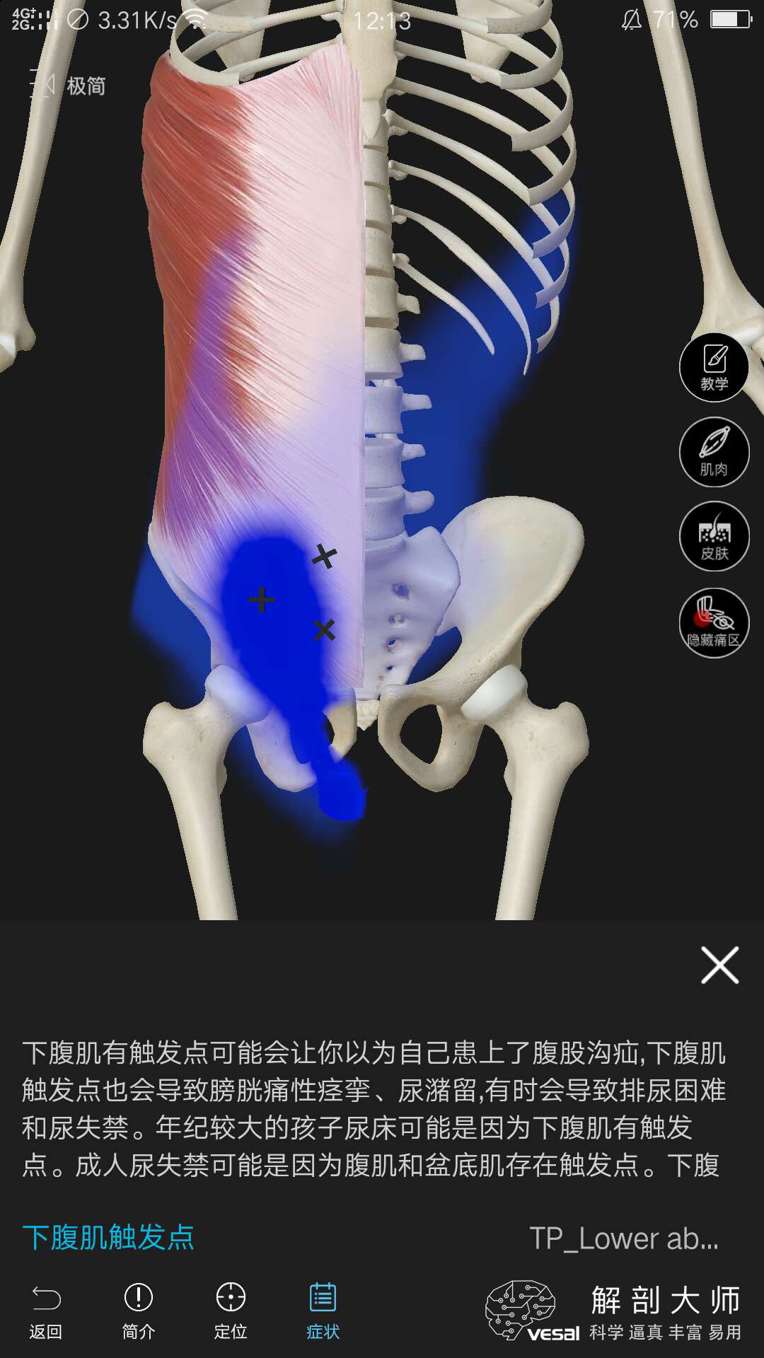 高清3D人体解剖图谱