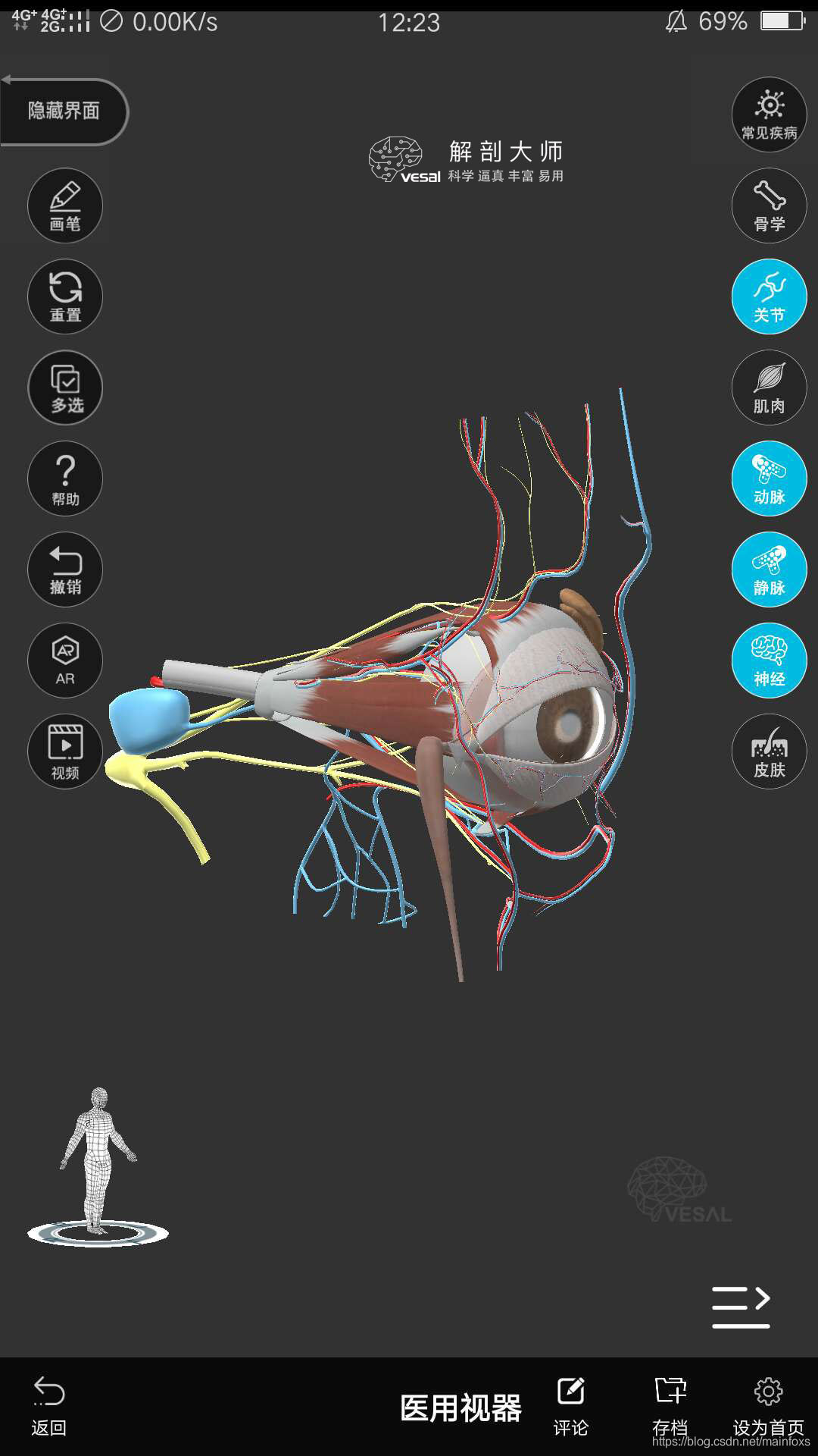 高清3D人体解剖图谱