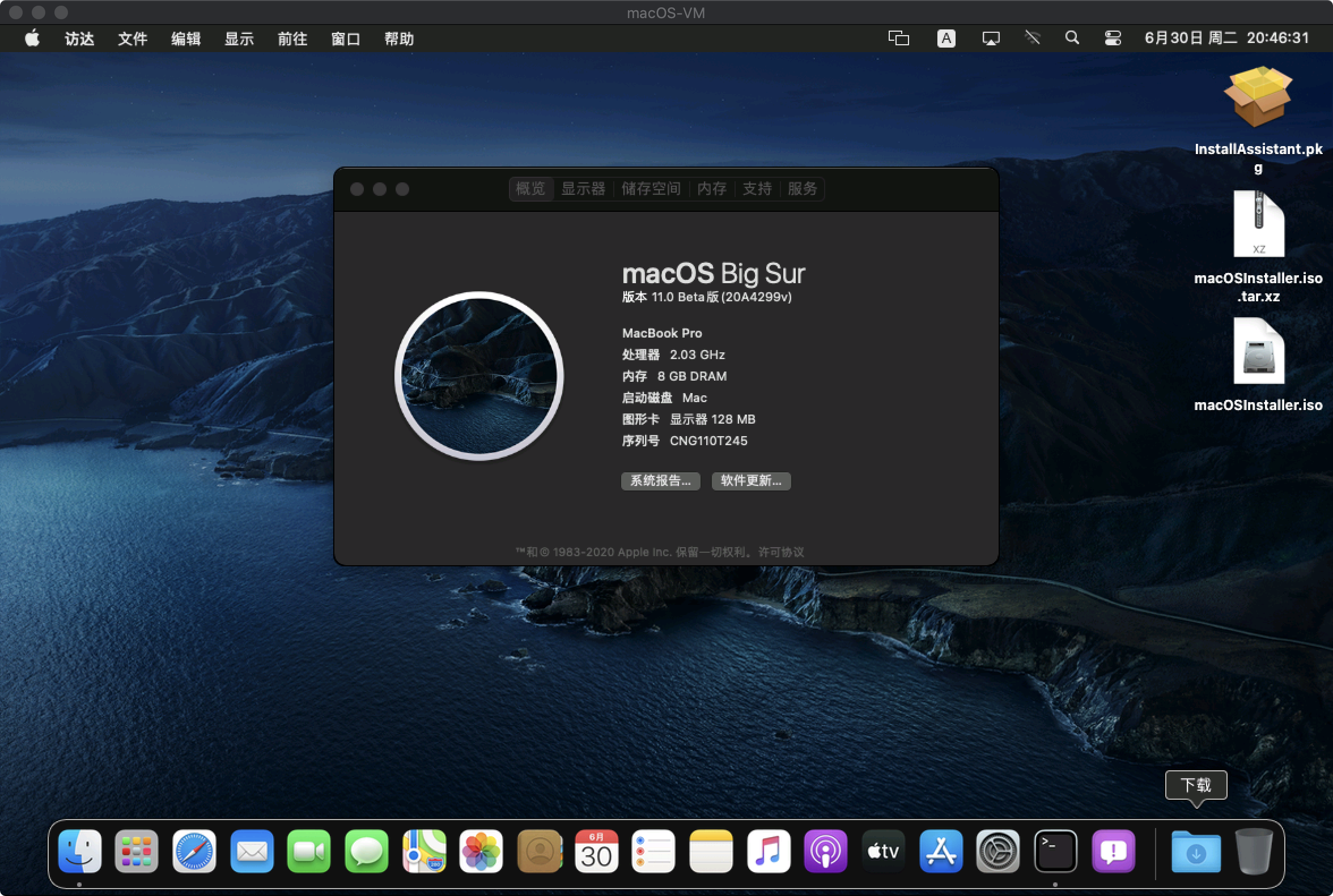 vmware fusion on big sur