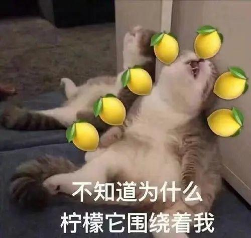 28岁程序员郭宇财务自由退休，都说他运气爆棚，但我看未必...