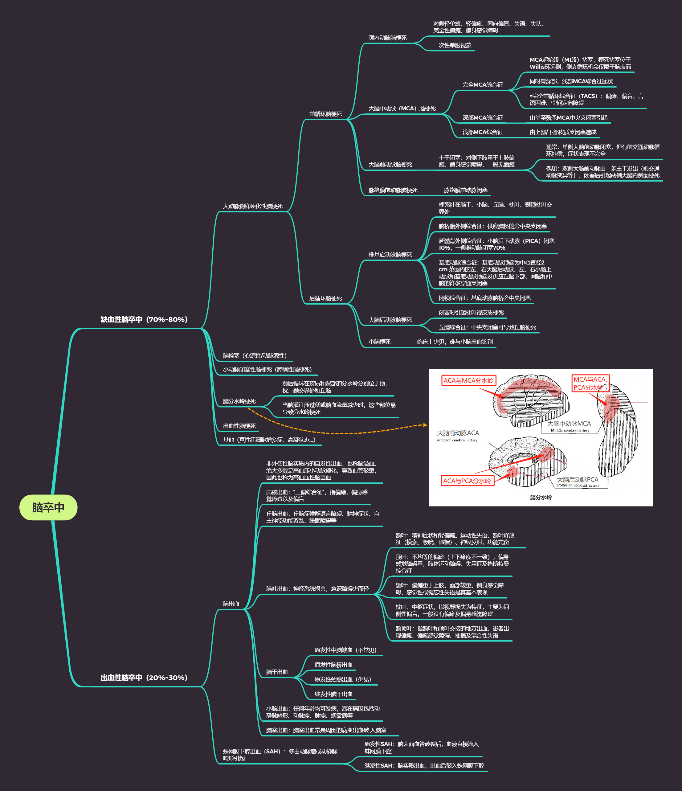 脑梗死知识点思维导图图片