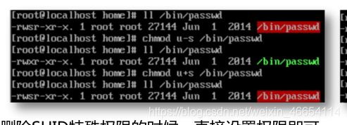 Linux文件权限 出炉啦, 快进来学习吧!RodmaChen的博客-
