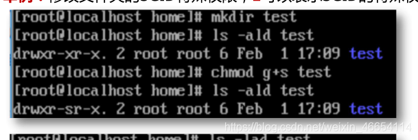 Linux文件权限 出炉啦, 快进来学习吧!RodmaChen的博客-