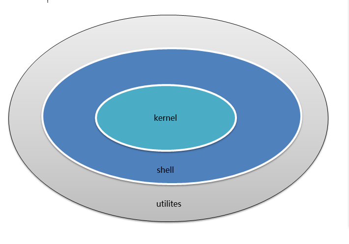 Shell编程入门 Shell变量 数值运算 小鱼儿 的博客 Csdn博客 Shell 数值变量