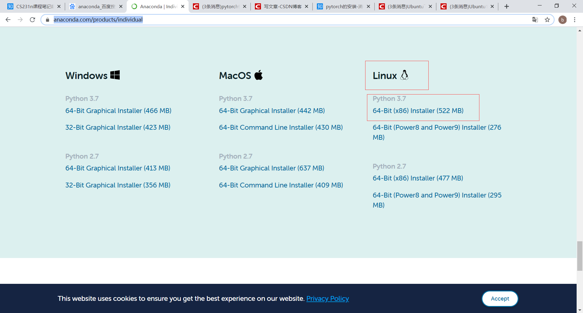 在虚拟环境中安装pytorch